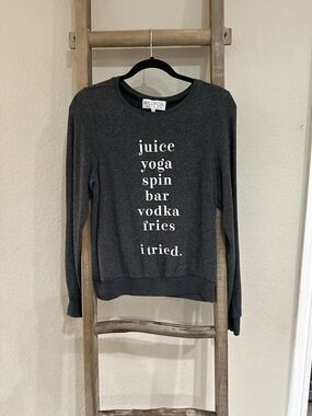 Wildfox “JUICE YOGA SPIN BAR VODKA FRIES I TRIED” Baggy Beach Sweatshirt Gray XS